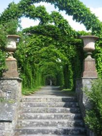 Birr Castle Demesne, Birr