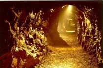 Aillwee Cave, Ballyvaughan